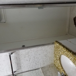 Vanity and Shower