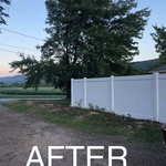 After Picture of a Tree Service Request