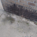House soft wash
