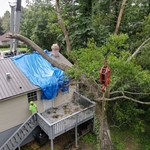 Crane Services