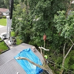 Crane Services
