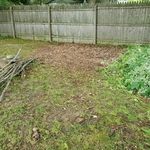Yard Waste- chucked