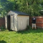 Shed removal