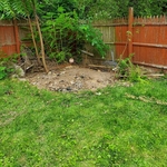 Shed Removal