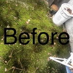 Mose floor removal