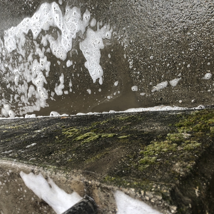 Moss removal
