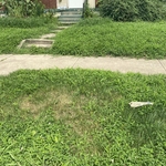 Cleanup