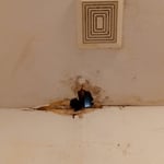 Water Damage replacement of drywall, Prime,Paint