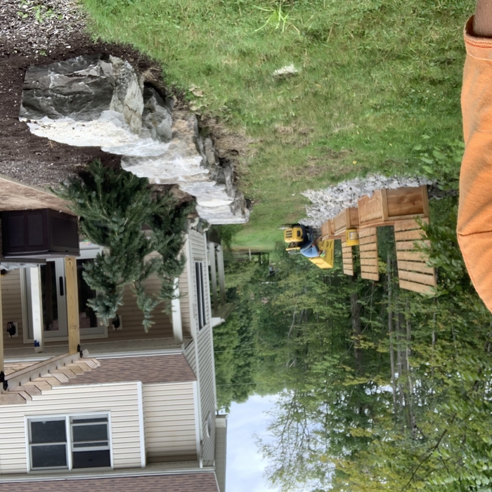 backyard renovation