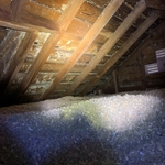 Possible Biological Growth in Attic