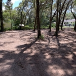 Underbrush/grade