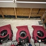 Water/Mold damaged closet