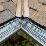 Gutter Screen