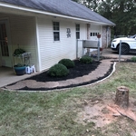 Flower Bed After