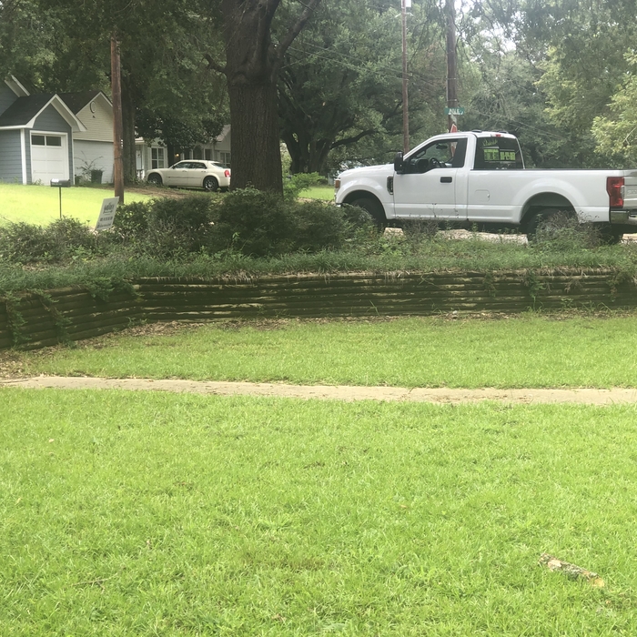 Gilmer TX