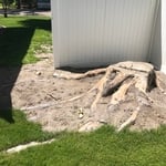 Near fence removal