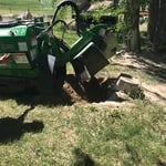 Old stump removal