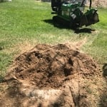 Pre-cleanup aftermath