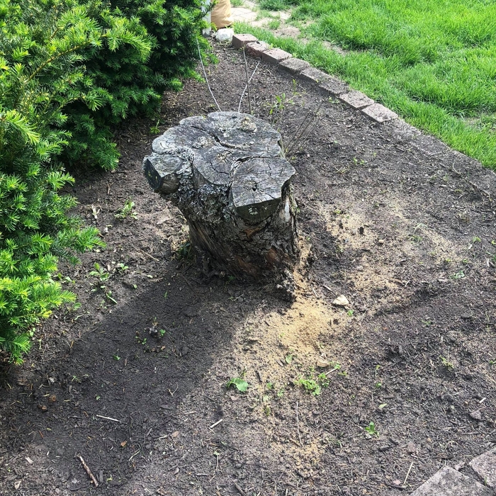 Home stump removal