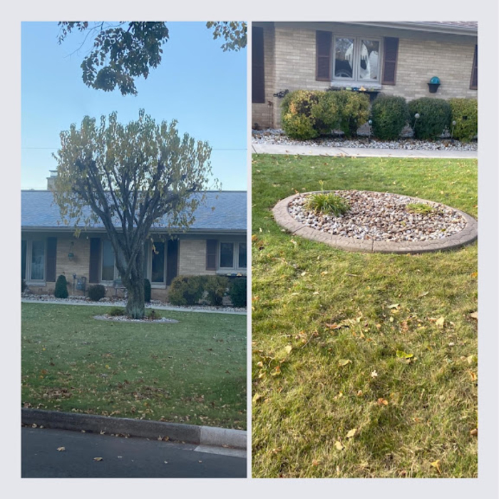 Tree Removal