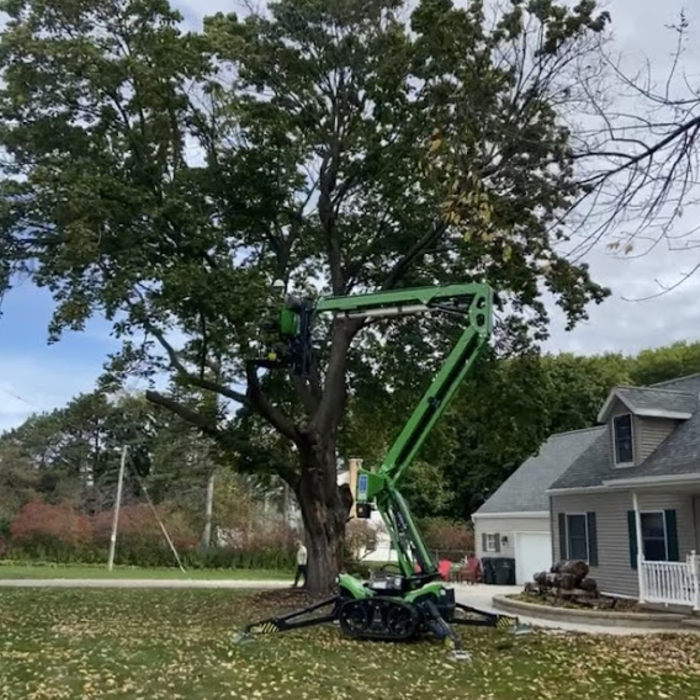 Tree-B-Gone
