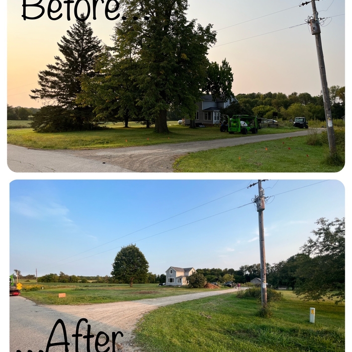Residential Tree Removal