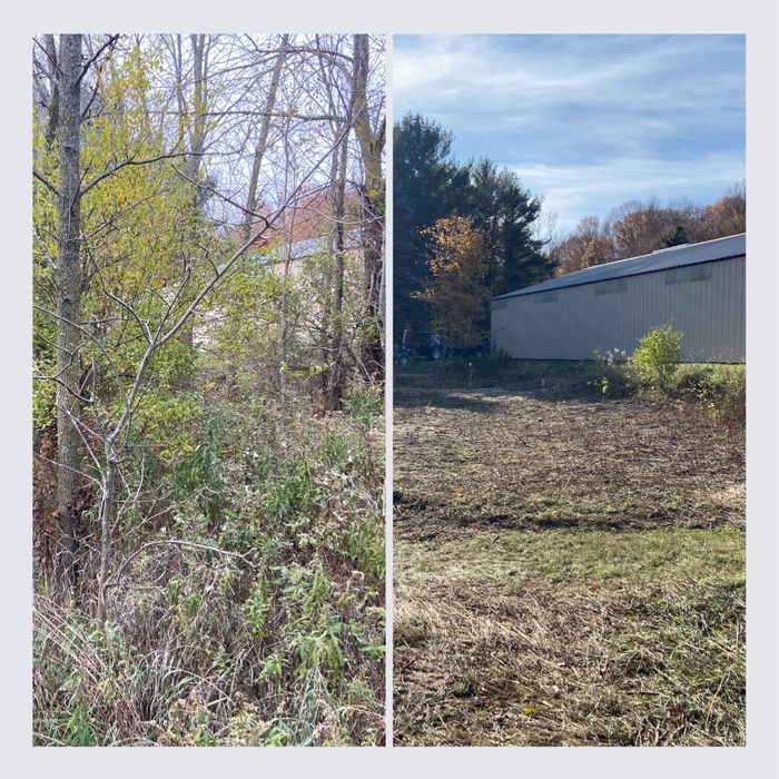 Lot Clearing