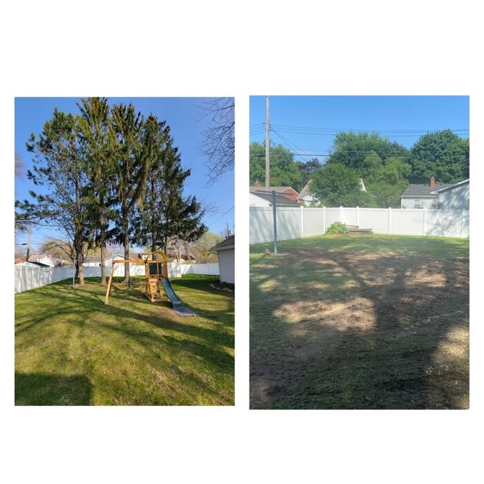 Backyard Tree Removal