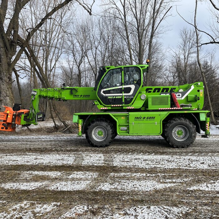 Tree Removal