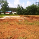 Our Work