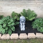 Mulch