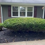 Hedge Trimming