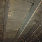 Attic mold