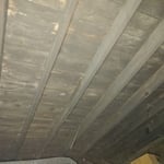 Attic mold