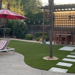 Concrete Steps & Turf