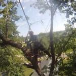 Lowering branch over a house.