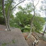 Removing 3 trees growing through the deck.