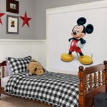 Rollar shade with disney character