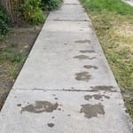 city sidewalk
