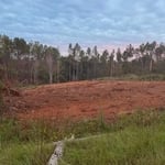 Clearing/Excavating