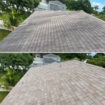 Softpressure Cleaning (NO PRESSURE)