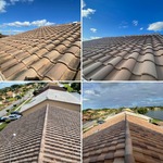 Roof cleaning