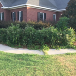 Landscape Maintenance