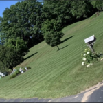 Lawn