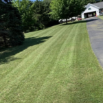 Lawn