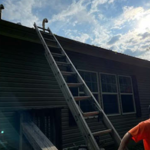 Tree Service Photos
