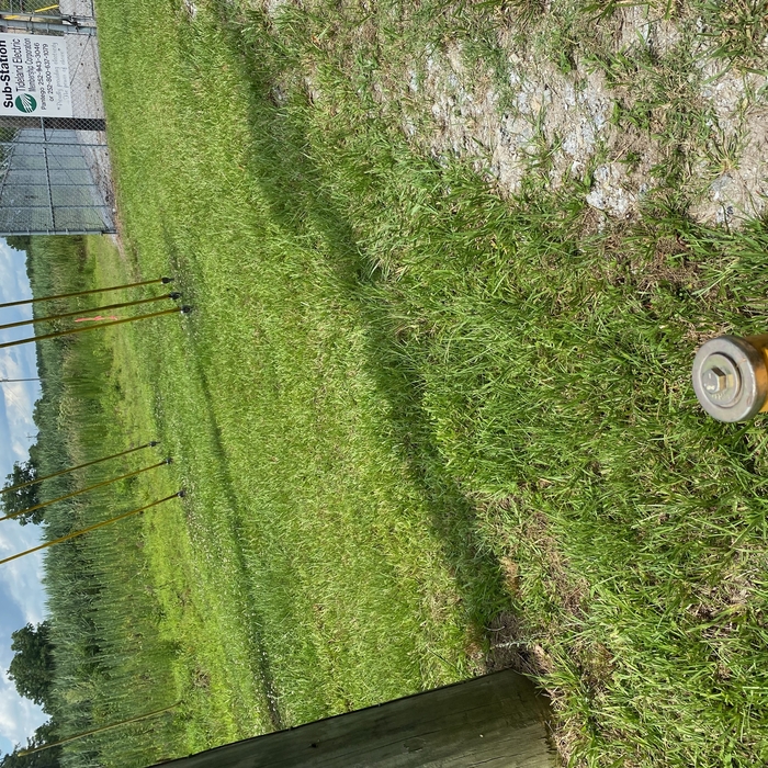 Washington NC