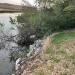 RETAINING WALL ( EDISTO)