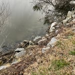 RETAINING WALL ( EDISTO)