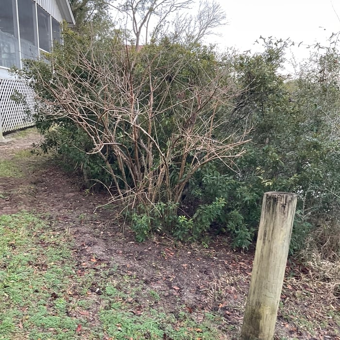 RETAINING WALL ( EDISTO)